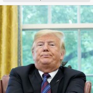 Meet your Posher, Lara